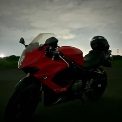 HYOSUNG GT250R 赤の画像