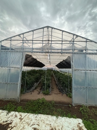 38万円現物確認可能農機具いれや野菜苗など活躍します大型ビニールハウス4間長さ10間1棟価格31.8mmパイプ