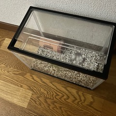 アクアリウム水槽の画像