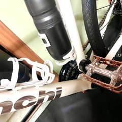 Bianchi c-sports2 マットホワイト2024modelの画像