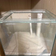 オーバーフロー水槽の画像