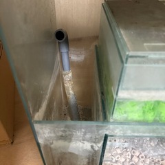 オーバーフロー水槽の画像