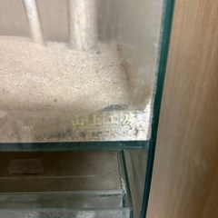 オーバーフロー水槽の画像