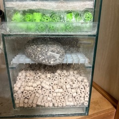 オーバーフロー水槽の画像
