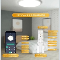 8畳用シーリングライトの画像