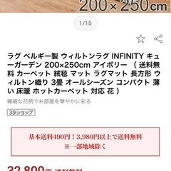 9/16まで　無料！　ウィルトン織　ラグ　カーペット　200×250の画像