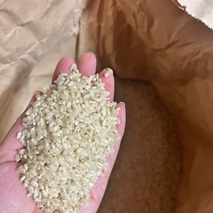 くず米餌などの画像