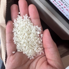 くず米餌などの画像