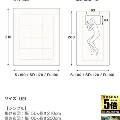 【ほぼ未使用・美品】シングルサイズ　敷布団・掛け布団・枕3点セットの画像