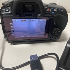 SONY α55の画像
