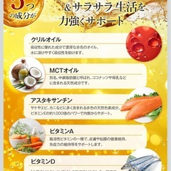 【新品・3袋】ピュアオメガ DHA EPA クリルオイル 国産 サプリの画像