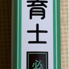 桜子先生の保育士必修テキスト 
2025年版 下巻の画像