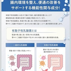 【新品・2箱】ビフィラルプラス 腸内環境 機能性表示食品 便通を改善の画像