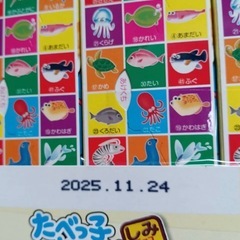 食べっこ水族館　しみチョコビス　ホワイト　10箱の画像