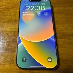 iPhone16 Pro 128GB SIMフリーの画像