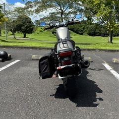 レブル250 の画像