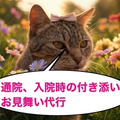 通院、入院時の付き添い、外出の付き添い