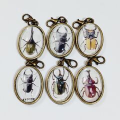 カブトムシチャーム　６個セットの画像