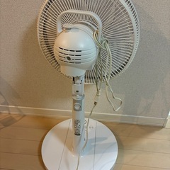 TOSHIBA扇風機　（2018年製）の画像