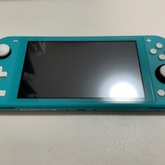 ニンテンドー スイッチ ライトの画像