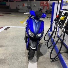 シグナス グリファス の画像