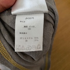 長袖Tシャツ　はらぺこあおむし　120の画像