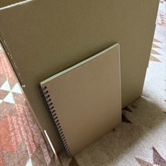 B5ダンボール箱10枚の画像