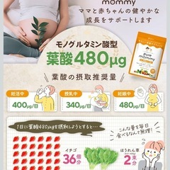 【新品・2袋】ピュアマミー 葉酸 サプリ 妊婦 ベビーの画像