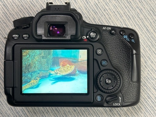 Canon EOS80  デジタル一眼レフ　おまけ多数