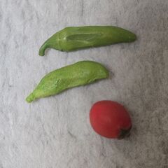 野菜づくり Yujin ガチャ シシトウ プチトマト 枝豆 ミニチュアの画像