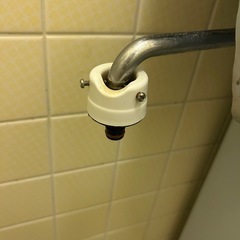中止！シャワー付きホース　アイリスオーヤマの画像