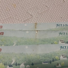 JTB(ナイストリップ)　20000円分の画像
