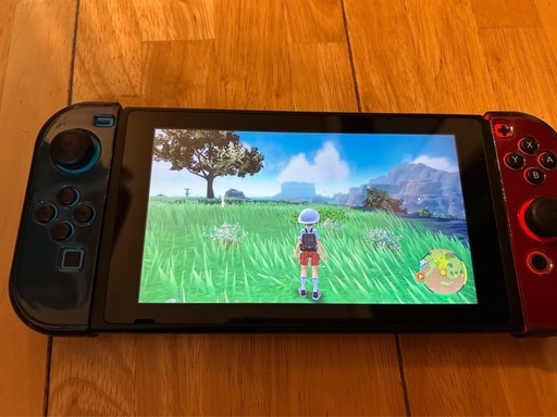 値下げ！　Switch スイッチ　ソフト2本付き