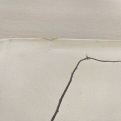 『足跡』矢沢 宰　童心社の画像
