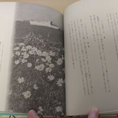 『足跡』矢沢 宰　童心社の画像