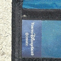 ディズニー シー 当日購入使用のみ アラジン パスケースの画像