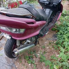 マジェスティ250の画像