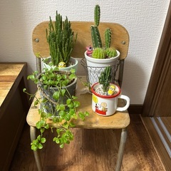 幼稚園の椅子　幼児　イス　飾り椅子　アンティークの画像