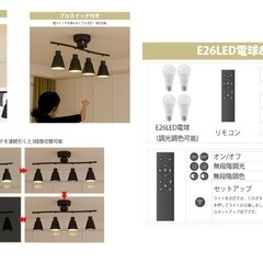 早め希望‼️オシャレなシーリングライト【ジャンク品】の画像