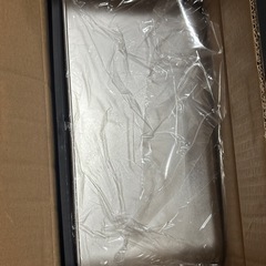新品　大型 ステンレス　猫用トイレ 50×35×25cm  掃除用猫砂スコップ　踏み板付きの画像