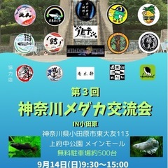 第3回メダカ交流会in小田原