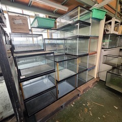 早い者勝ち 水槽 選び放題 早い者勝ち ペット用品 家庭用 サイズ数種類ありの画像