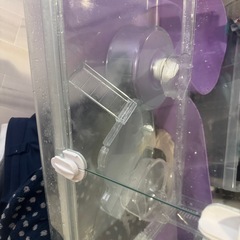 グラスハーモニー　ハムスター用品の画像
