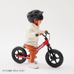 【値下げ】D-Bike Kix AL / ディーバイクキックス エーエルの画像
