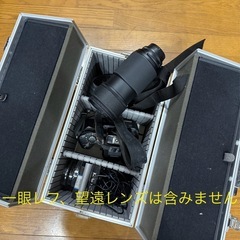 ❸持ってけ！カメラケース 現状渡し(中古) の画像