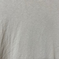 Lee レディース Tシャツ Lサイズの画像