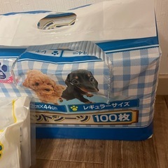 猫砂、ペットシーツの画像