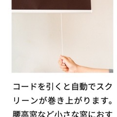 【美品】ロールスクリーン(プルコード式)の画像