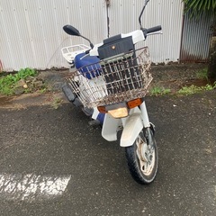 スズキ　スーパーモレ　実働の画像