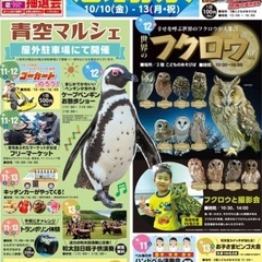 イオン小牧店　秋イベントフリーマーケット - 小牧市